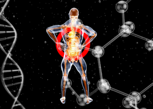 Metabolic Mastery for High-Pressure Minds