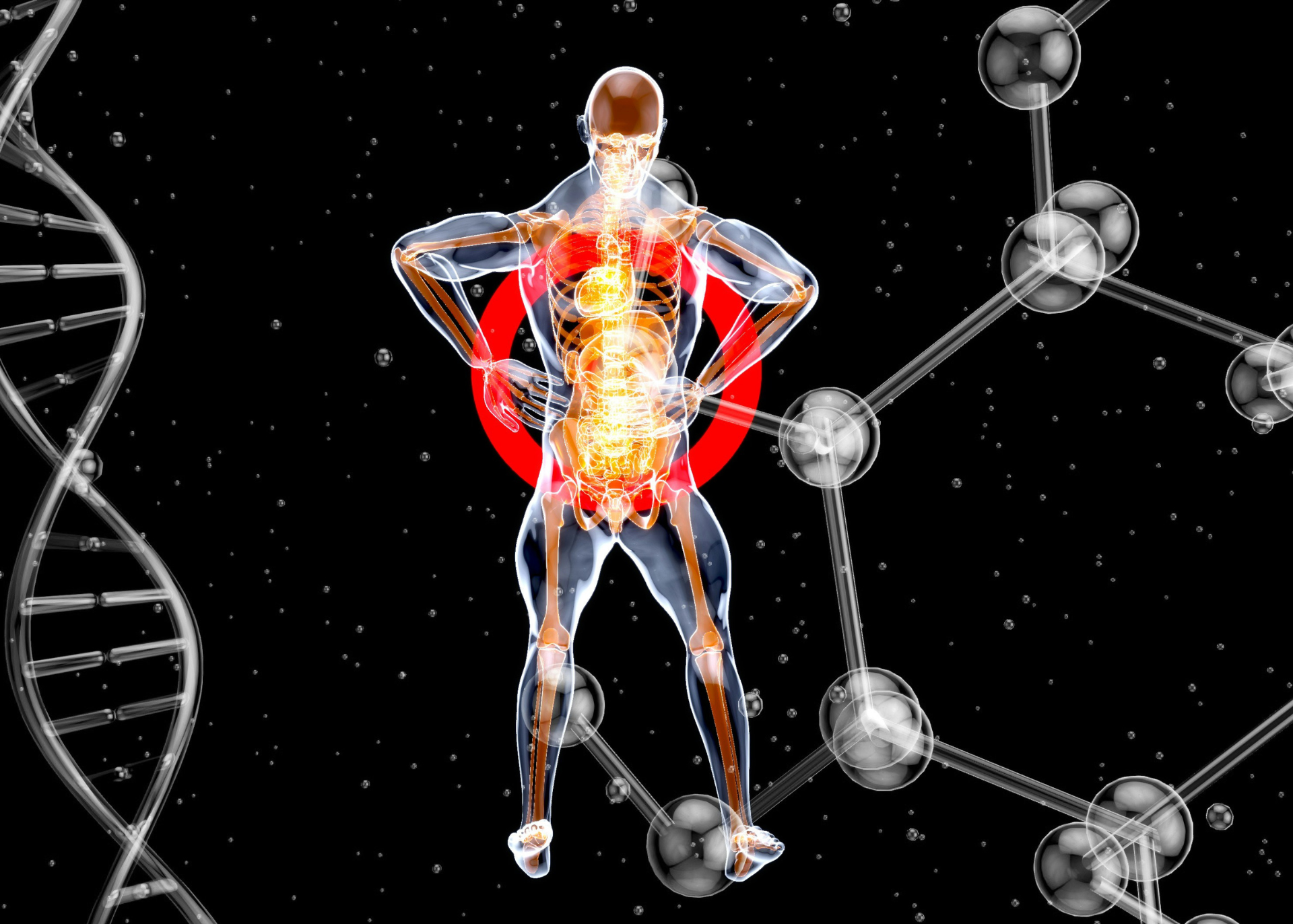 Metabolic Mastery for High-Pressure Minds